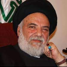 Mouhamed Hassan Al Amin